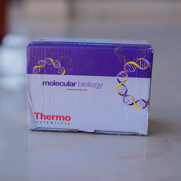 PCR Plates